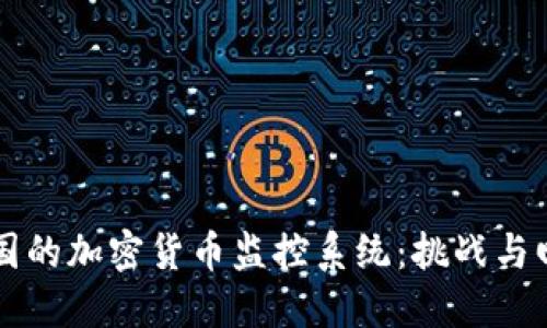 中国的加密货币监控系统：挑战与回应