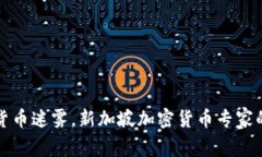 破解数字货币迷雾，新加坡加密货币专家的独特