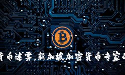 破解数字货币迷雾，新加坡加密货币专家的独特视角