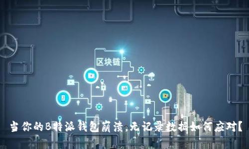 当你的B特派钱包崩溃，无记录数据如何应对？