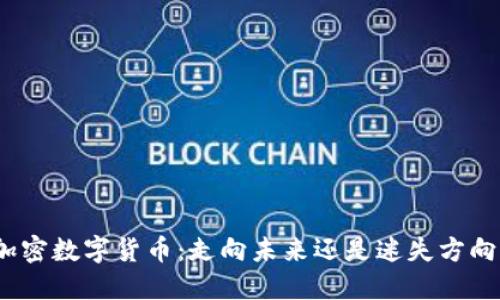加密数字货币：走向未来还是迷失方向？