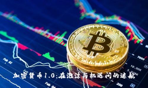 加密货币1.0：在泡沫与机遇间的迷航