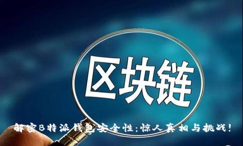解密B特派钱包安全性：惊人真相与挑战!