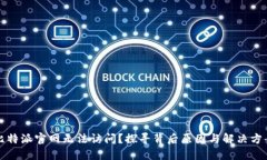 比特派官网无法访问？探寻背后原因与解决方案