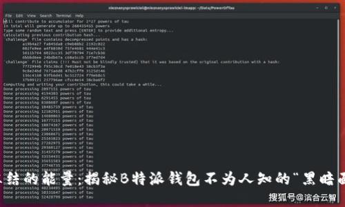 冻结的能量：揭秘B特派钱包不为人知的“黑暗面”