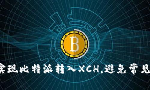 轻松实现比特派转入XCH，避免常见错误！