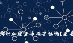 你还在为选择哪种加密货币而苦恼吗？来看看C