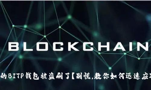 你的BITP钱包被盗刷了？别慌，教你如何迅速应对！