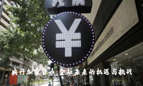 央行加密货币：金融未来的机遇与挑战