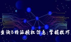 如何轻松查询B特派授权信息：掌握技巧，避免误