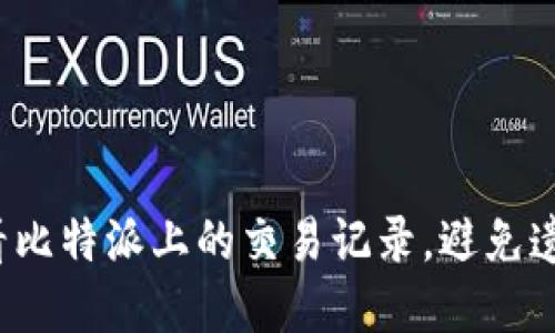 如何快速查看比特派上的交易记录，避免遗漏关键细节？