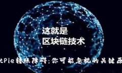 BitPie转账障碍：你可能忽视的关键原因