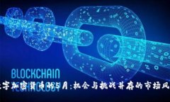 数字加密货币的5月：机会与挑战并存的市场风云