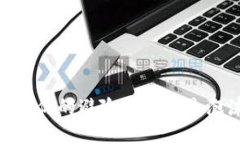 加密货币：你的避险利器还是泡沫陷阱？