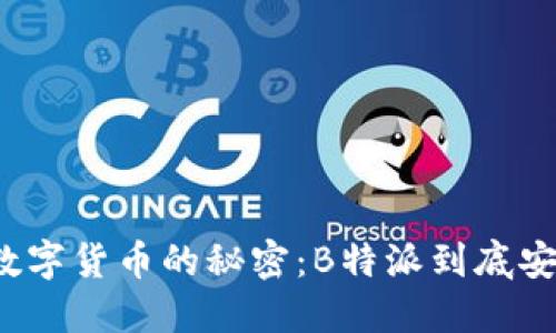 购买数字货币的秘密：B特派到底安全吗？