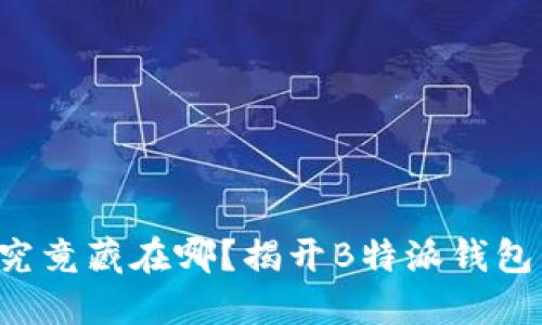 你的付款码究竟藏在哪？揭开B特派钱包的神秘面纱！