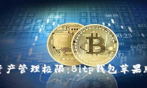 挑战你的数字资产管理极限：Bitp钱包苹果版使用体验评测