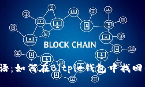 失落的密语：如何在Bitpie钱包中找回你的资产？