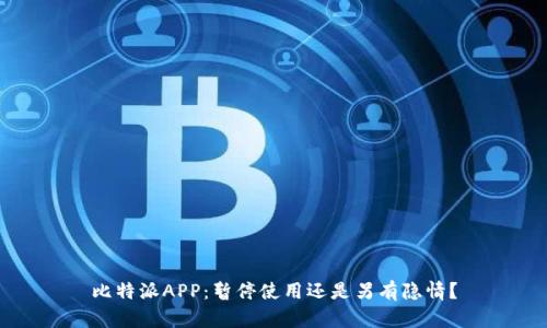 比特派APP：暂停使用还是另有隐情？