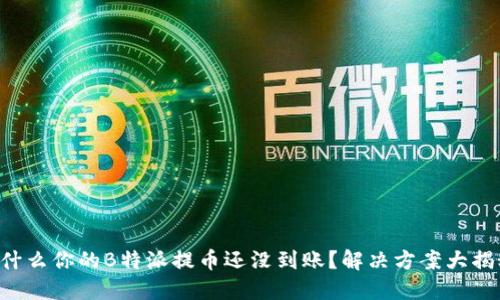 为什么你的B特派提币还没到账？解决方案大揭秘！