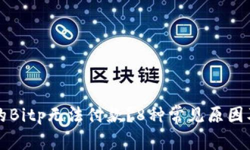 为什么我的Bitp无法付款？8种常见原因及解决方案