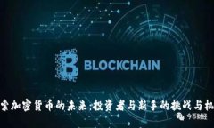 探索加密货币的未来：投资者与新手的挑战与机