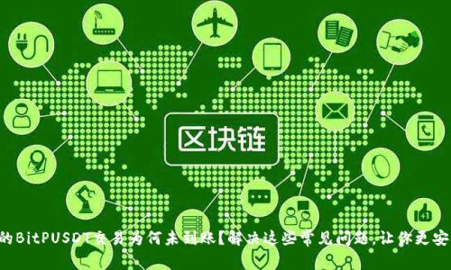 你的BitPUSDT交易为何未到账？解决这些常见问题，让你更安心！