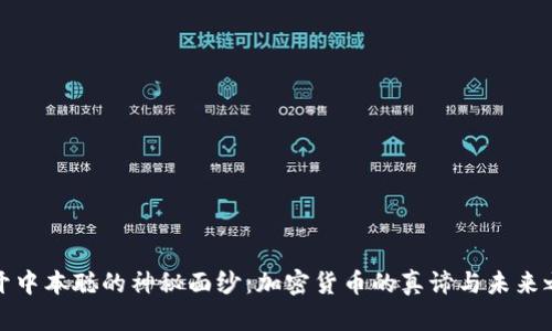 揭开中本聪的神秘面纱：加密货币的真谛与未来之路