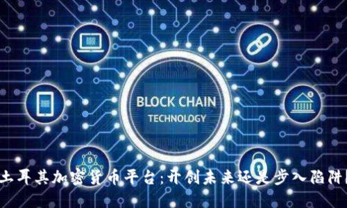 土耳其加密货币平台：开创未来还是步入陷阱？