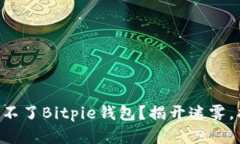为什么你下载不了Bitpie钱包？揭开迷雾，找到解