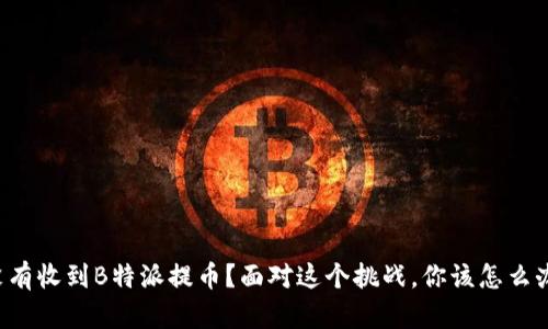 没有收到B特派提币？面对这个挑战，你该怎么办！