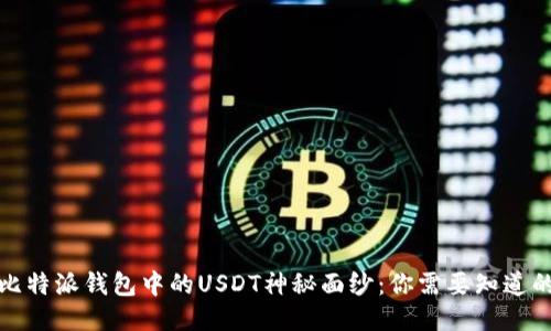 揭开比特派钱包中的USDT神秘面纱：你需要知道的一切