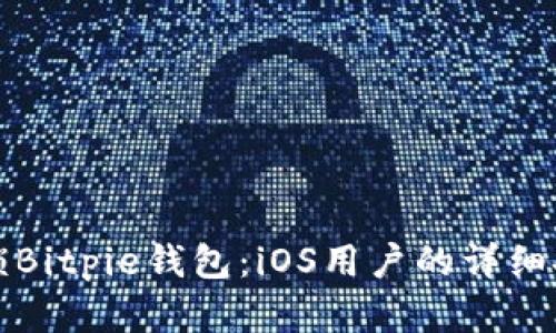 彻底解锁Bitpie钱包：iOS用户的详细安装指南