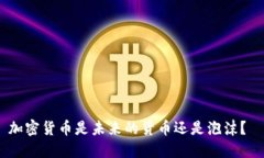 加密货币是未来的货币还是泡沫？