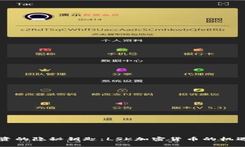 未来投资的隐秘钥匙：LSK加密货币的机遇与挑战