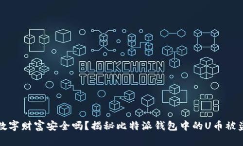 你的数字财富安全吗？揭秘比特派钱包中的U币被盗事件