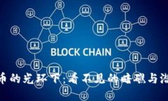 加密货币的光环下：看不见的暗礁与潜在风险