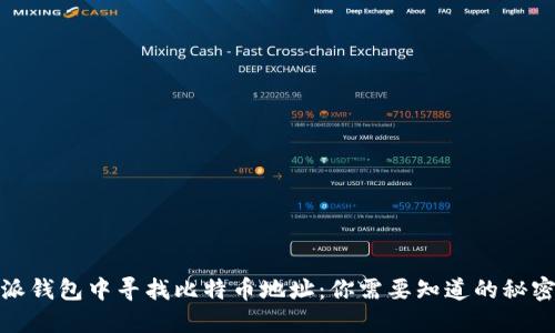 在比特派钱包中寻找比特币地址：你需要知道的秘密与技巧