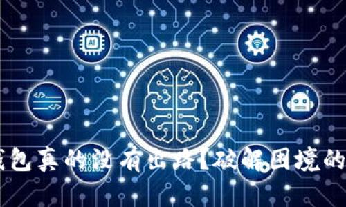 冻结的B特派钱包真的没有出路？破解困境的解决方案来了！