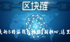 如何找回丢失的B特派钱包地址？别担心，这里是