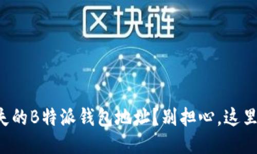 如何找回丢失的B特派钱包地址？别担心，这里是你的救星！