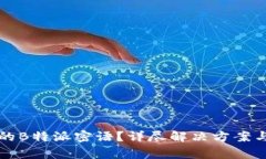 如何找回丢失的B特派密语？详尽解决方案与常见