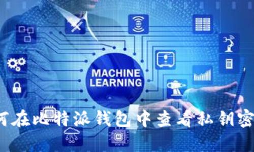 如何在比特派钱包中查看私钥密码？