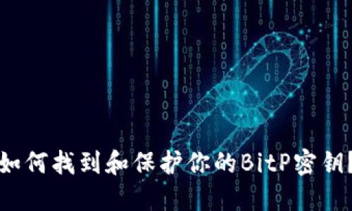 如何找到和保护你的BitP密钥？