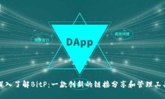 深入了解BitP：一款创新的链接分享和管理工具