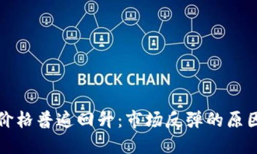 : 加密货币价格普遍回升：市场反弹的原因与未来展望