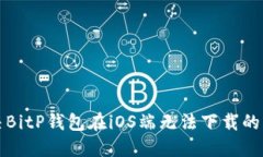 如何解决BitP钱包在iOS端无法下载的问题指南
