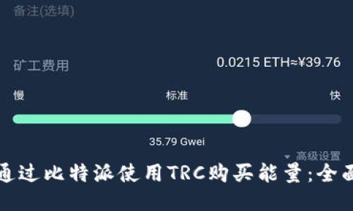 如何通过比特派使用TRC购买能量：全面指南