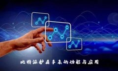 比特派护盾手表的功能与应用