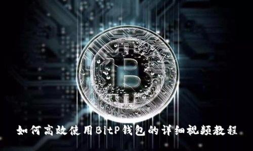 如何高效使用BitP钱包的详细视频教程